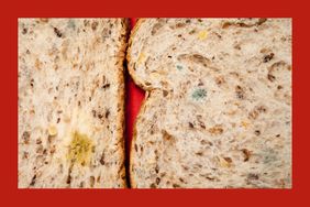 Moldy spots on two pieces of multigrain bread.