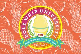 The Dole Whip University logo in a composite over an illustrated pattern of whole and sliced pineapple. 