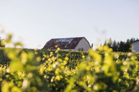 A farmhouse on the Okta farm