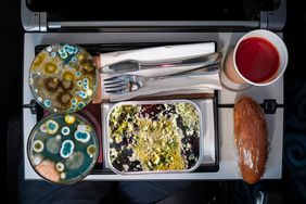 Mold filled petri dishes and tray of food in a photo composite. 