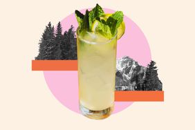 A tall drink class with mint and lemon as garnish, mountain and wood landscapes in the background