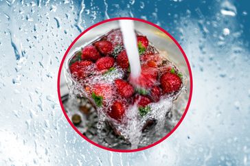 Strawberries under running water with a watery background. 